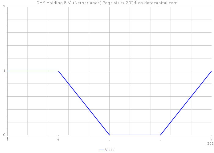 DHY Holding B.V. (Netherlands) Page visits 2024 