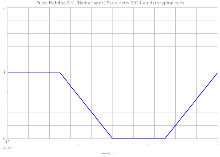 Pulse Holding B.V. (Netherlands) Page visits 2024 