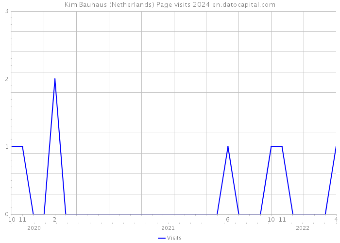 Kim Bauhaus (Netherlands) Page visits 2024 
