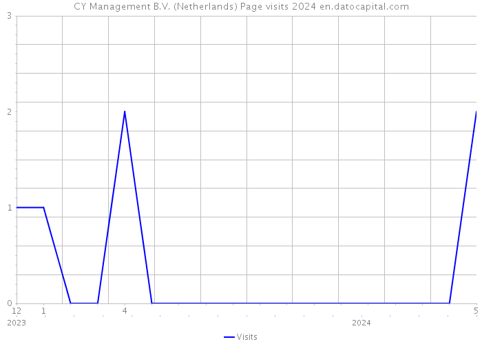 CY Management B.V. (Netherlands) Page visits 2024 