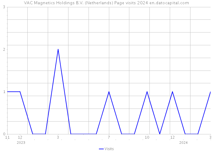 VAC Magnetics Holdings B.V. (Netherlands) Page visits 2024 
