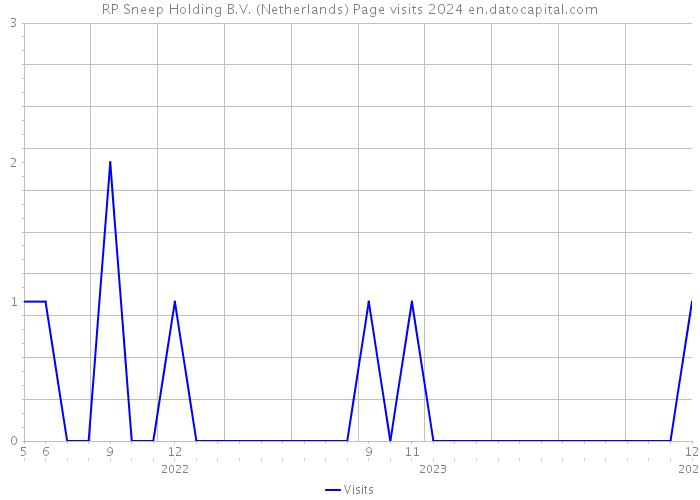 RP Sneep Holding B.V. (Netherlands) Page visits 2024 