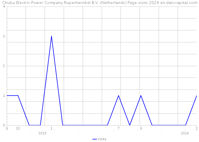 Chubu Electric Power Company Rupertiwinkel B.V. (Netherlands) Page visits 2024 