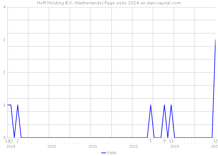 Hoff Holding B.V. (Netherlands) Page visits 2024 