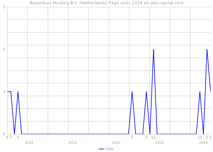 Buitenhuis Holding B.V. (Netherlands) Page visits 2024 