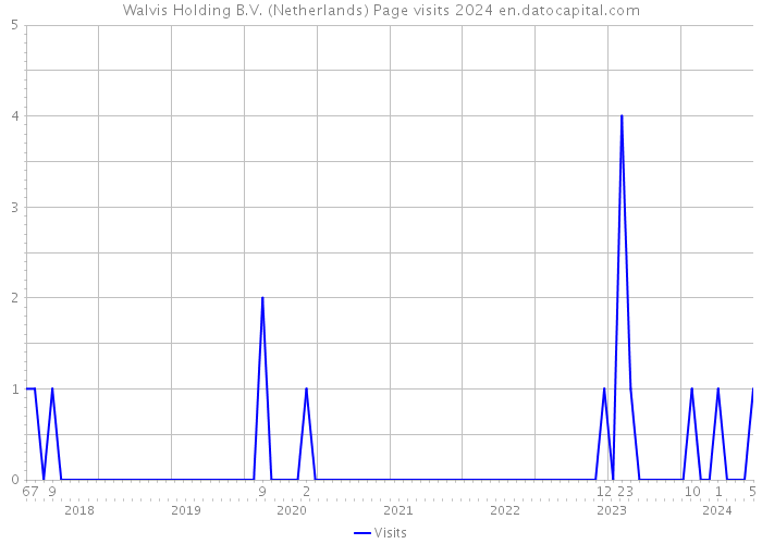 Walvis Holding B.V. (Netherlands) Page visits 2024 