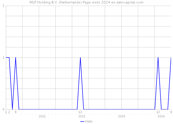 MLP Holding B.V. (Netherlands) Page visits 2024 