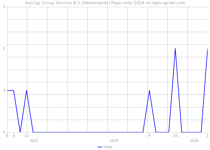 AerCap Group Services B.V. (Netherlands) Page visits 2024 