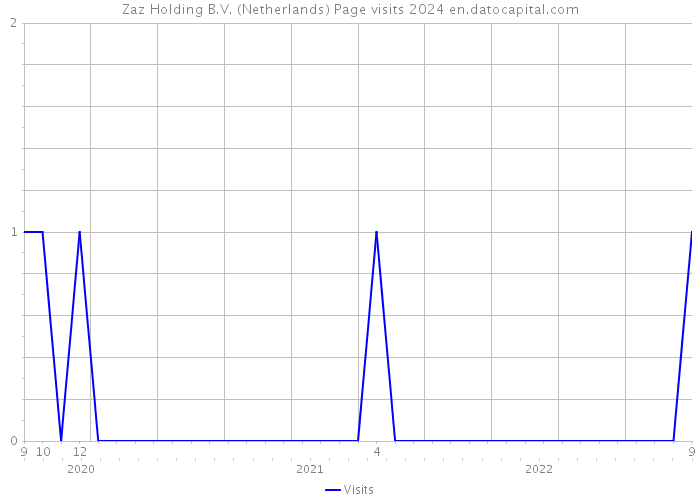 Zaz Holding B.V. (Netherlands) Page visits 2024 