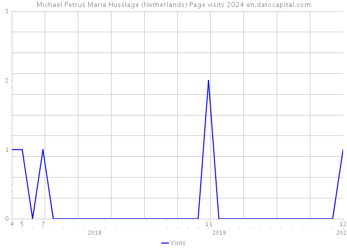 Michaël Petrus Maria Husslage (Netherlands) Page visits 2024 