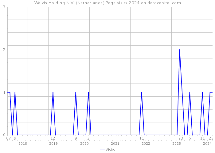 Walvis Holding N.V. (Netherlands) Page visits 2024 