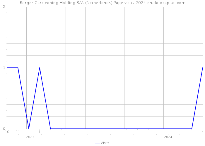 Borger Carcleaning Holding B.V. (Netherlands) Page visits 2024 