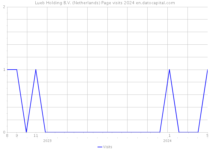 Lueb Holding B.V. (Netherlands) Page visits 2024 