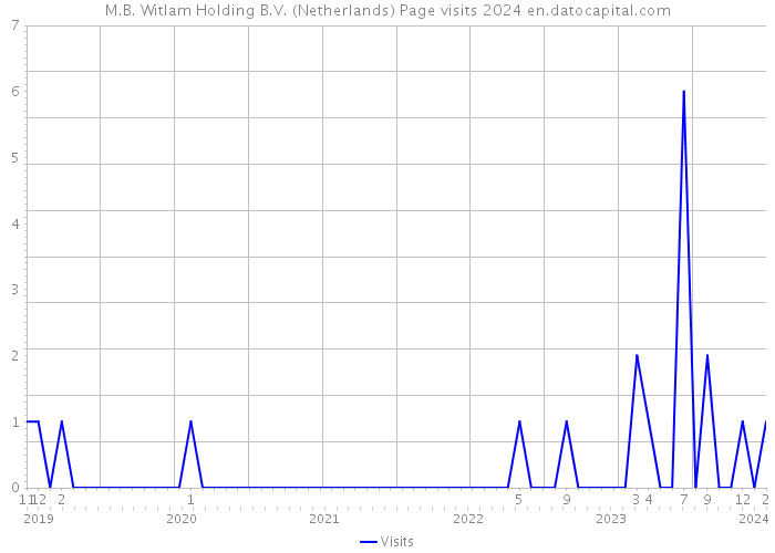 M.B. Witlam Holding B.V. (Netherlands) Page visits 2024 
