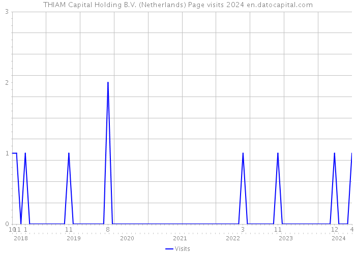 THIAM Capital Holding B.V. (Netherlands) Page visits 2024 