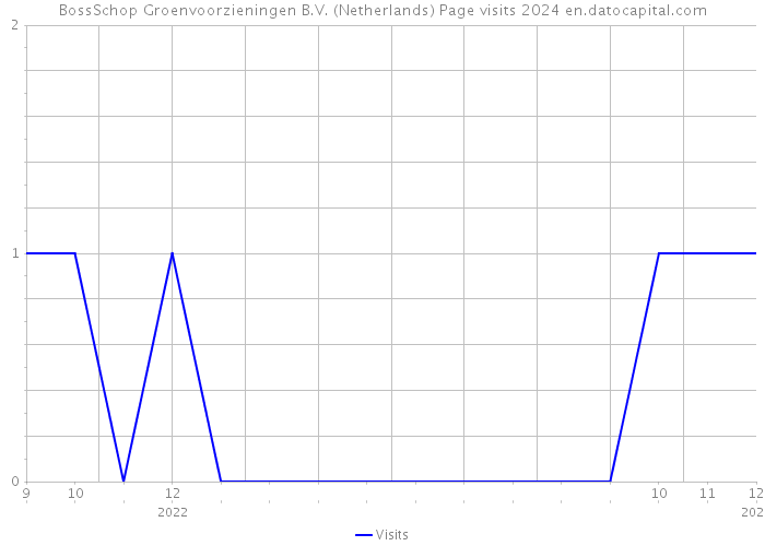 BossSchop Groenvoorzieningen B.V. (Netherlands) Page visits 2024 