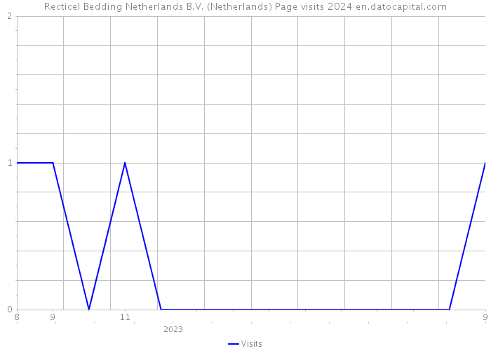 Recticel Bedding Netherlands B.V. (Netherlands) Page visits 2024 