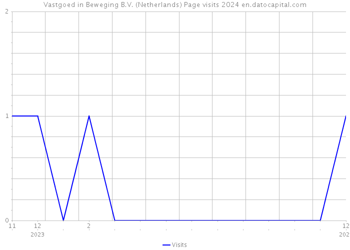 Vastgoed in Beweging B.V. (Netherlands) Page visits 2024 
