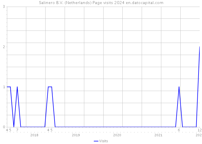 Salinero B.V. (Netherlands) Page visits 2024 