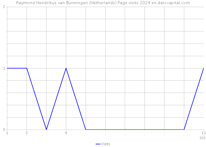 Raymond Hendrikus van Bunningen (Netherlands) Page visits 2024 