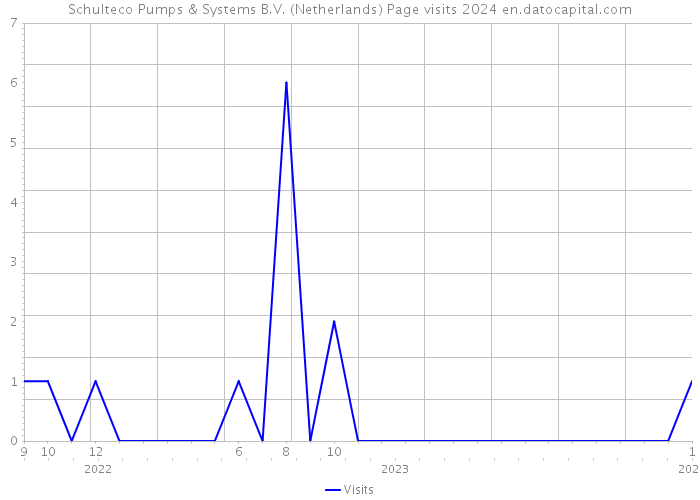 Schulteco Pumps & Systems B.V. (Netherlands) Page visits 2024 