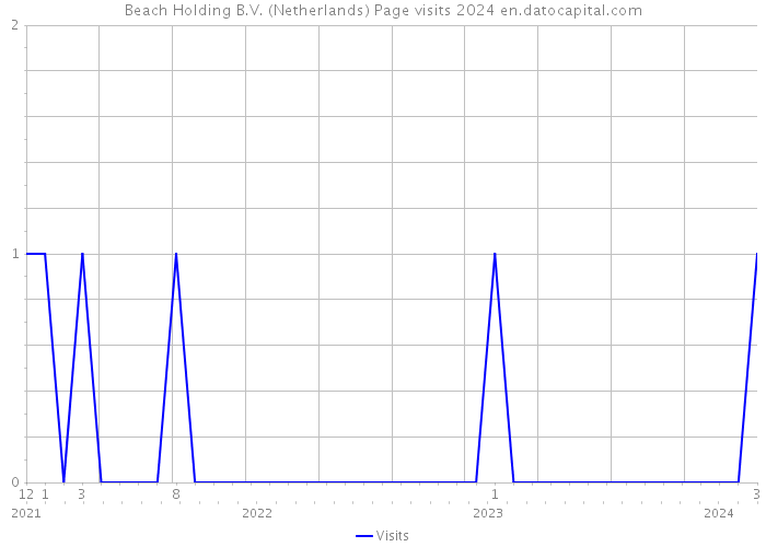 Beach Holding B.V. (Netherlands) Page visits 2024 