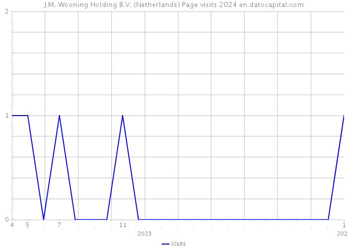 J.M. Wooning Holding B.V. (Netherlands) Page visits 2024 