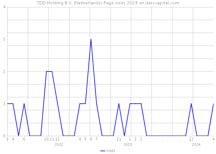 TDD Holding B.V. (Netherlands) Page visits 2024 