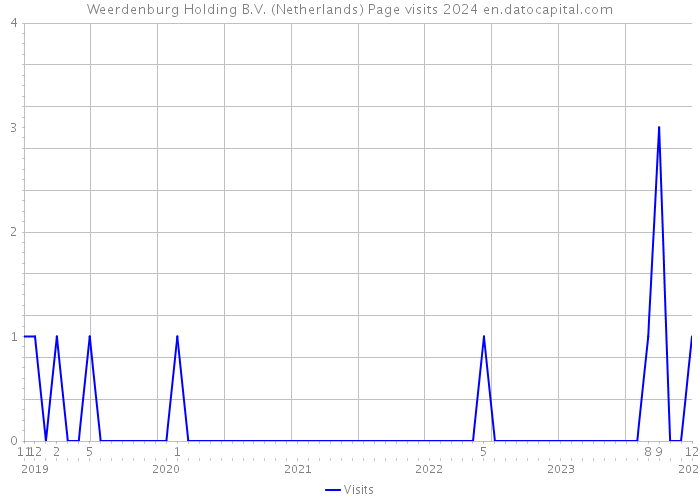 Weerdenburg Holding B.V. (Netherlands) Page visits 2024 