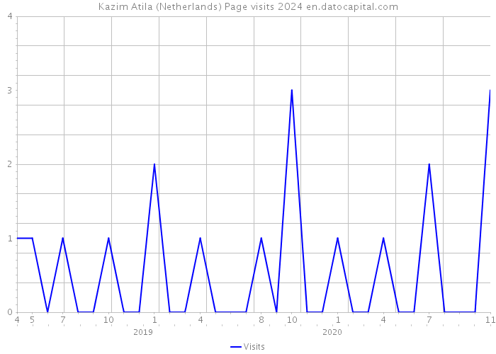Kazim Atila (Netherlands) Page visits 2024 