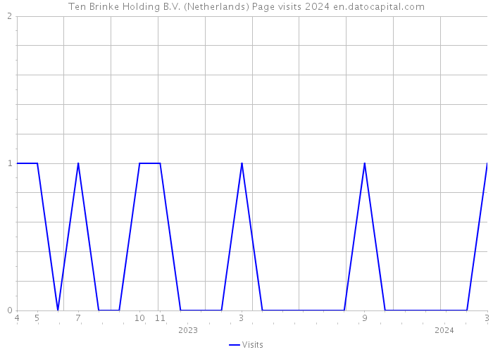 Ten Brinke Holding B.V. (Netherlands) Page visits 2024 