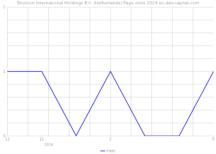 Envision International Holdings B.V. (Netherlands) Page visits 2024 
