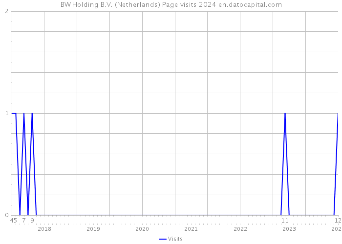 BW Holding B.V. (Netherlands) Page visits 2024 