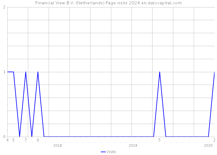 Financial View B.V. (Netherlands) Page visits 2024 