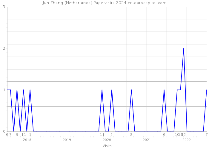 Jun Zhang (Netherlands) Page visits 2024 