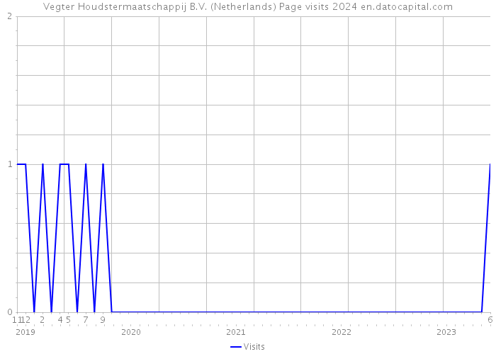Vegter Houdstermaatschappij B.V. (Netherlands) Page visits 2024 