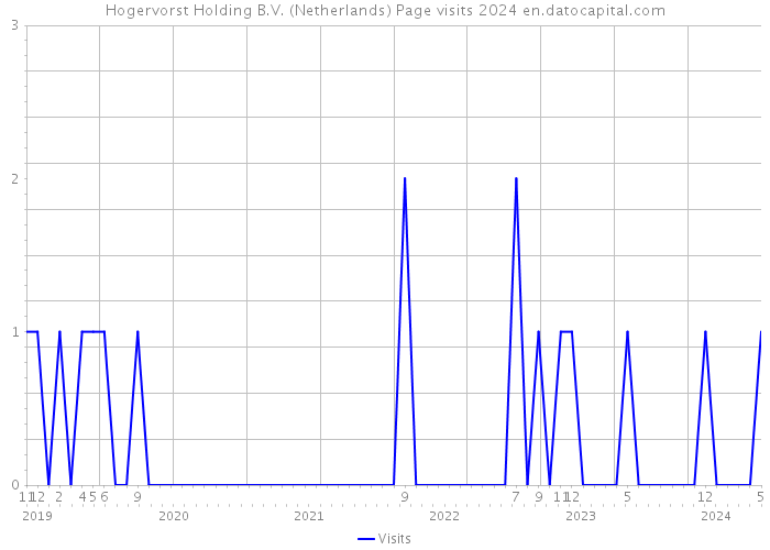 Hogervorst Holding B.V. (Netherlands) Page visits 2024 