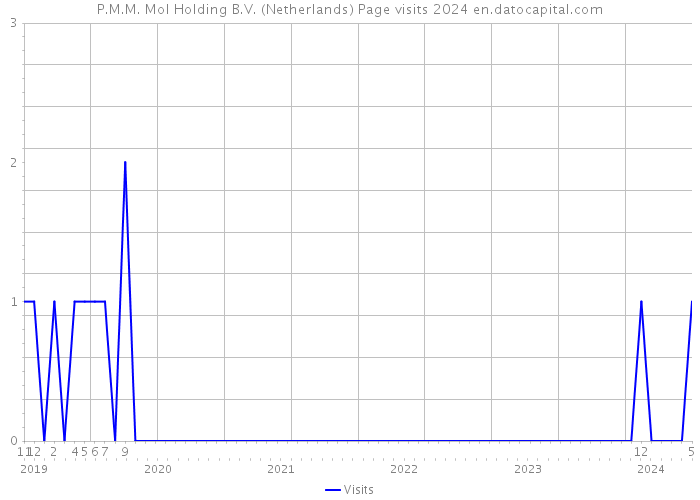 P.M.M. Mol Holding B.V. (Netherlands) Page visits 2024 