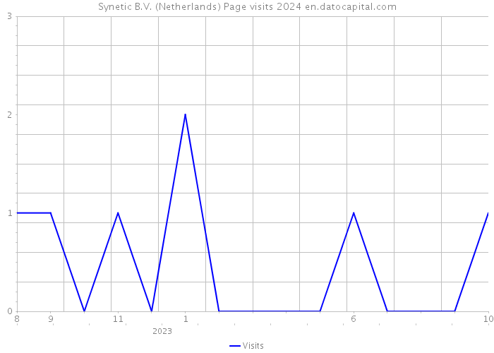 Synetic B.V. (Netherlands) Page visits 2024 