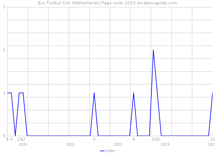 Ece Tonbul Kilit (Netherlands) Page visits 2024 