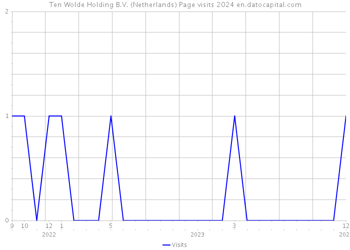 Ten Wolde Holding B.V. (Netherlands) Page visits 2024 