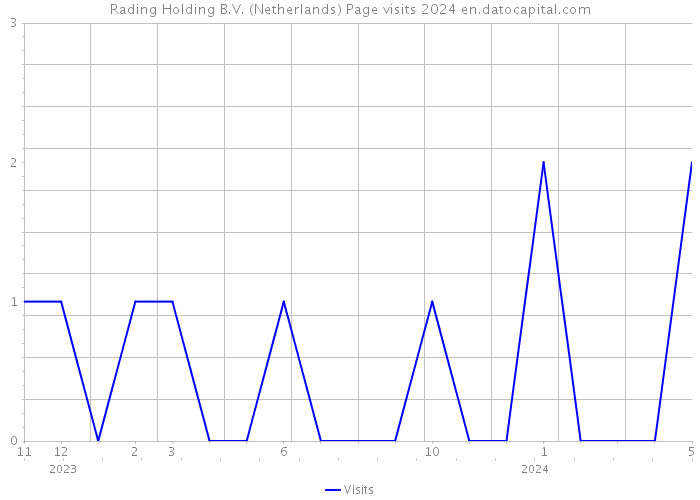 Rading Holding B.V. (Netherlands) Page visits 2024 