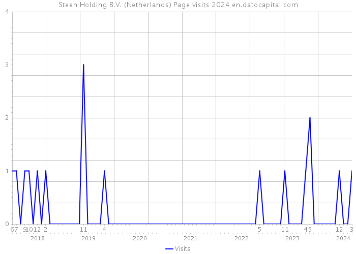 Steen Holding B.V. (Netherlands) Page visits 2024 