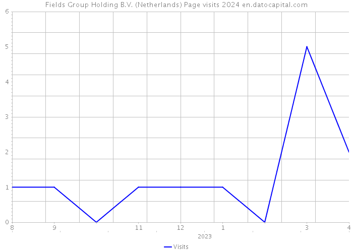 Fields Group Holding B.V. (Netherlands) Page visits 2024 
