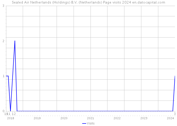 Sealed Air Netherlands (Holdings) B.V. (Netherlands) Page visits 2024 