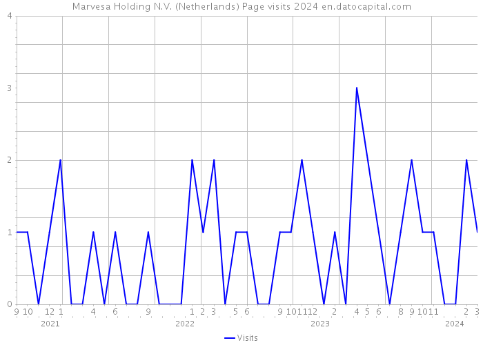 Marvesa Holding N.V. (Netherlands) Page visits 2024 