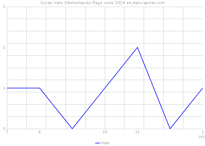 Goran Valic (Netherlands) Page visits 2024 