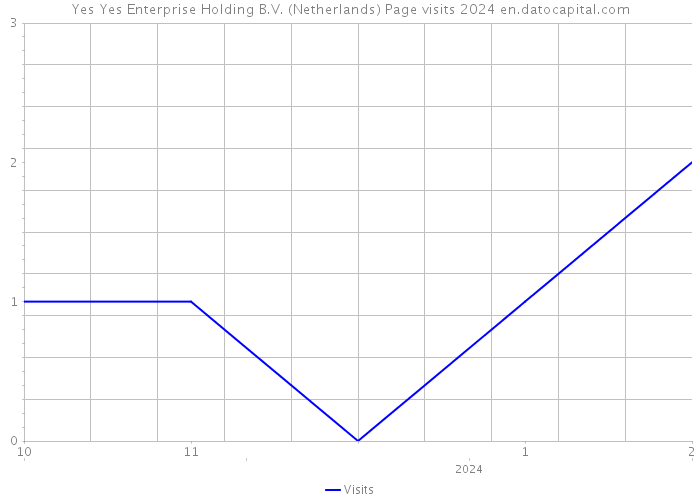 Yes Yes Enterprise Holding B.V. (Netherlands) Page visits 2024 