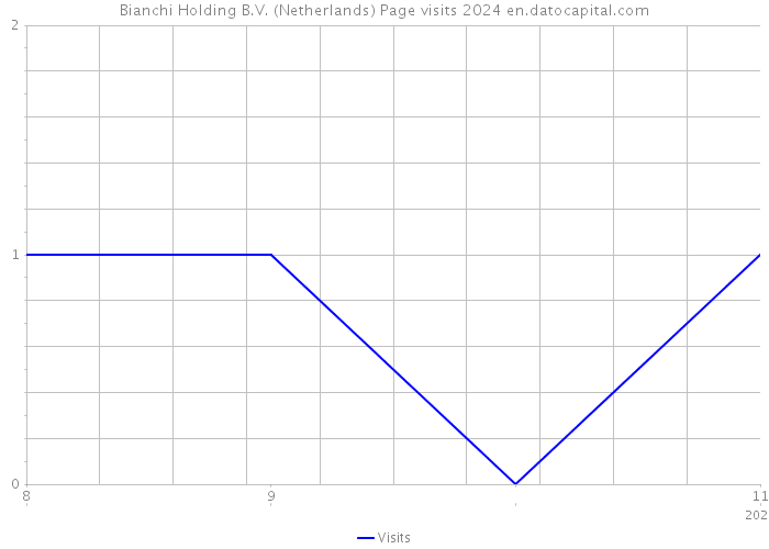 Bianchi Holding B.V. (Netherlands) Page visits 2024 