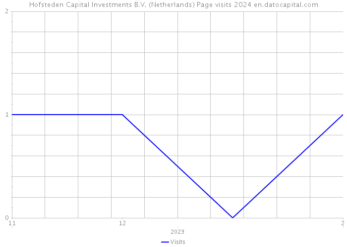 Hofsteden Capital Investments B.V. (Netherlands) Page visits 2024 